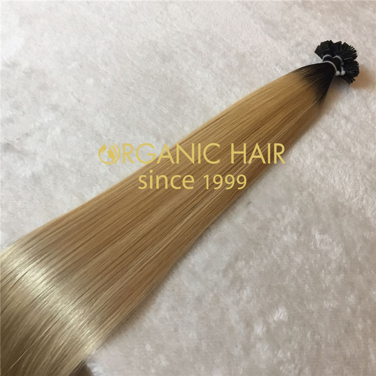 High quality human hair extensions--Flat tip hair extensions C19